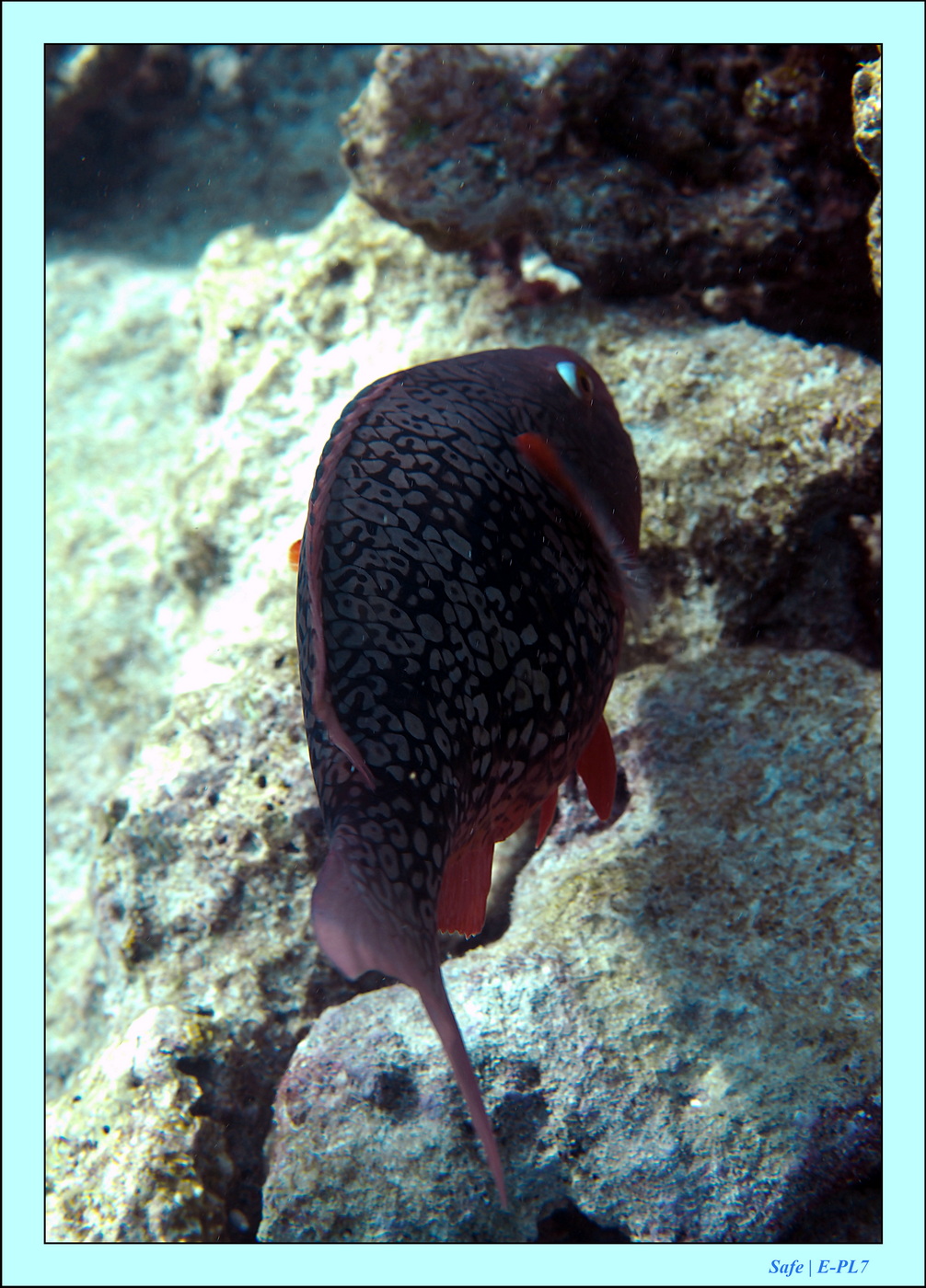 2023 - 07 - Sandies Bathala - 155